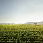 Πανσιόν Hochdoerffer Gaestehaus Λαντάου