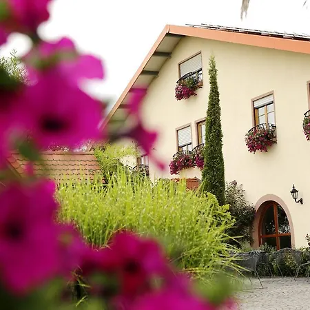 Penzion Hochdoerffer Gaestehaus Landau in der Pfalz