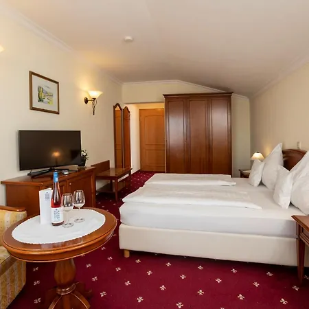 Guest house Hochdoerffer Gaestehaus Landau in der Pfalz