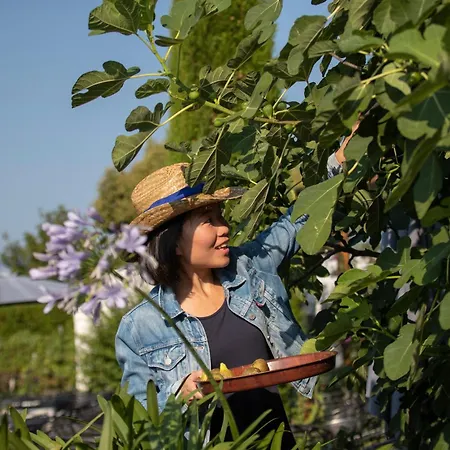 Hochdoerffer Gaestehaus 3*