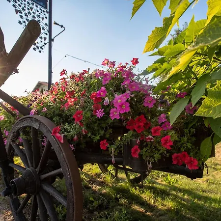 Hochdoerffer Gaestehaus Landau in der Pfalz
