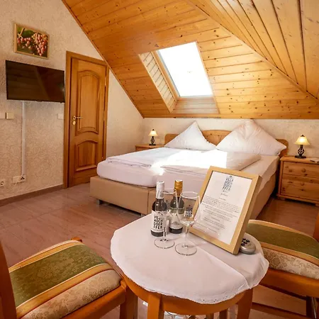 Hochdoerffer Gaestehaus Landau in der Pfalz