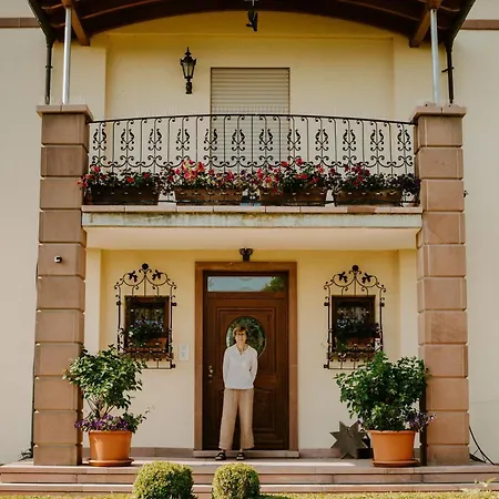 Gasthuis Hochdoerffer Gaestehaus Landau in der Pfalz