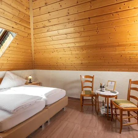 Hochdoerffer Gaestehaus Penzion Landau in der Pfalz