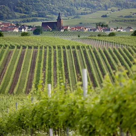 Penzion Hochdoerffer Gaestehaus