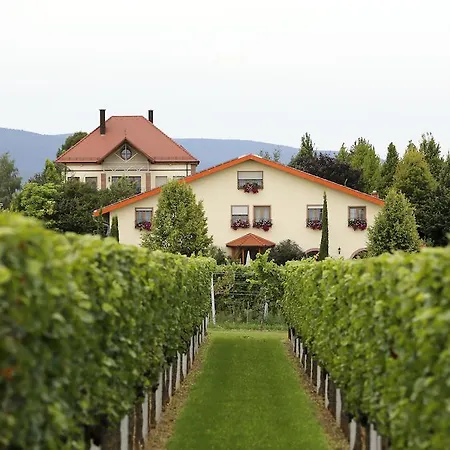Guest house Hochdoerffer Gaestehaus 4*
