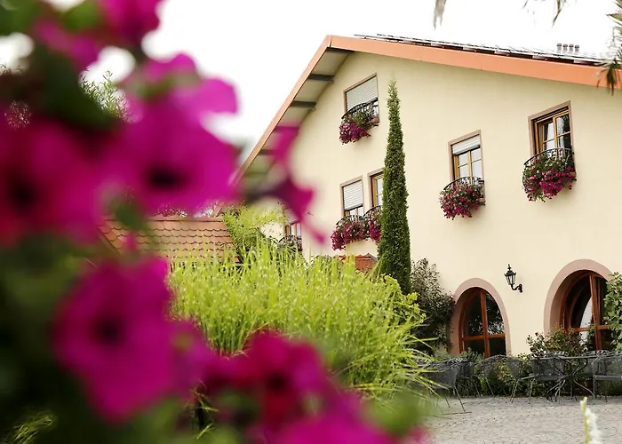 Gasthuis Hochdoerffer Gaestehaus Landau in der Pfalz
