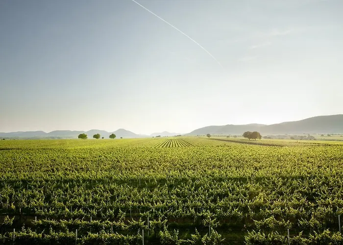 Gasthuis Hochdoerffer Gaestehaus Landau in der Pfalz