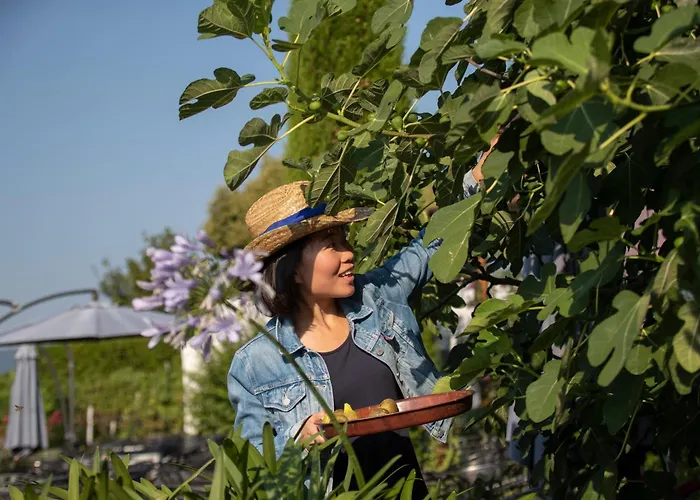 Hochdoerffer Gaestehaus 3*