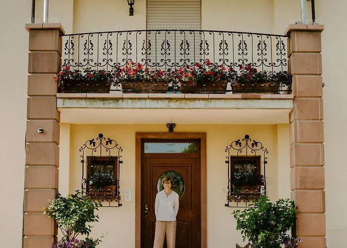 Gasthuis Hochdoerffer Gaestehaus Landau in der Pfalz