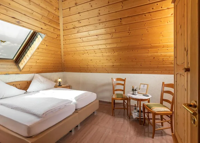 Hochdoerffer Gaestehaus Gasthuis Landau in der Pfalz