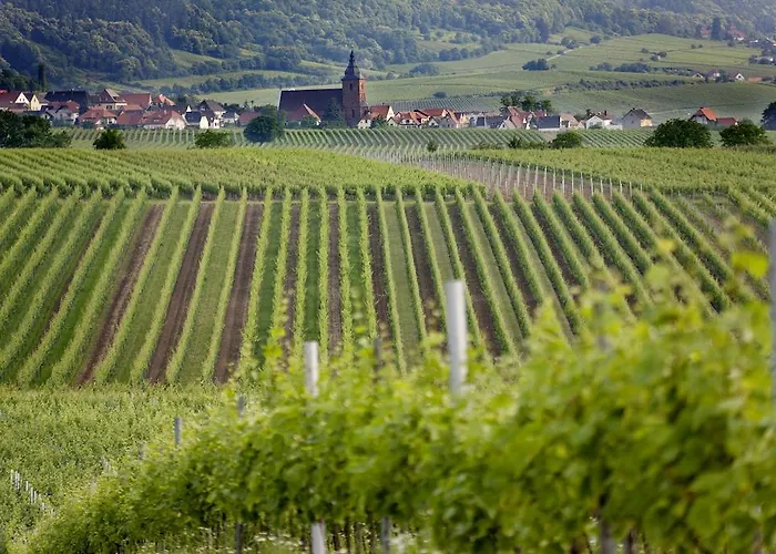 招待所 Hochdoerffer Gaestehaus