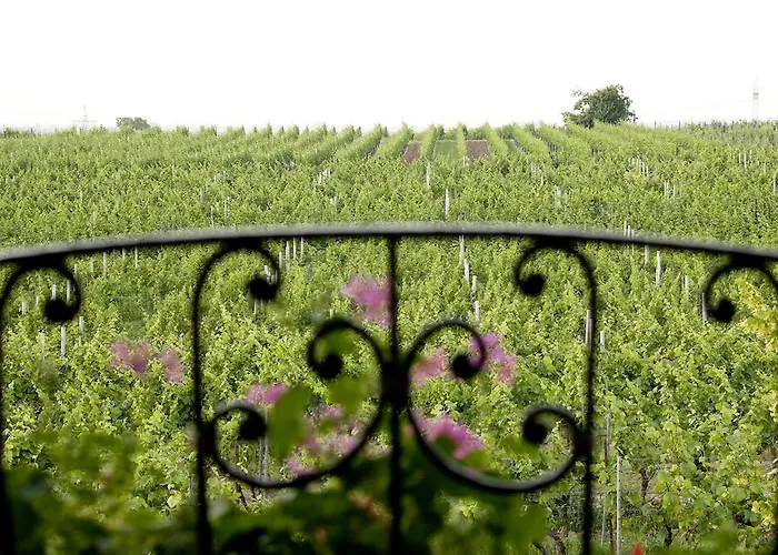 Hochdoerffer Gaestehaus