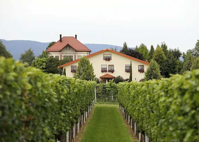 Gasthuis Hochdoerffer Gaestehaus 3*